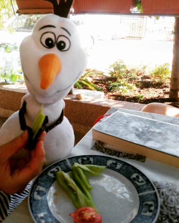 20446335_1829268407089282_858751586_o